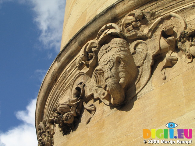 SX07843 Elephant gargoyle Oxford building